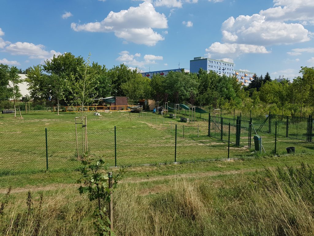 Tréning v kynologickom klube Psíčkari Vráble